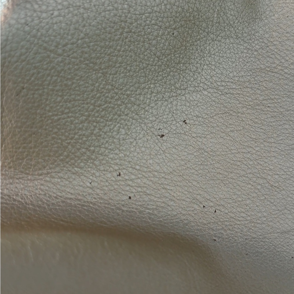 Metallic Pearl Shoulder Hobo with Tan Strap - Picture 11 of 16